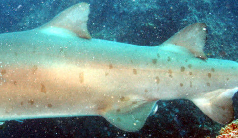 ce5fb6ff-3e9e-4621-ba45-821ef5c7e451