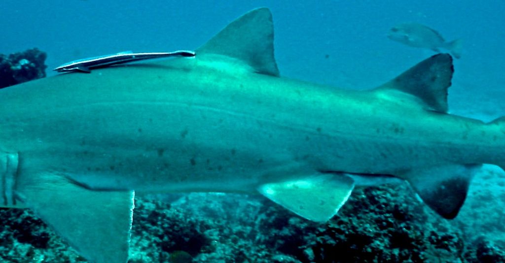 33ddaf86-9594-4b0a-8ef3-f31ad94e9c39