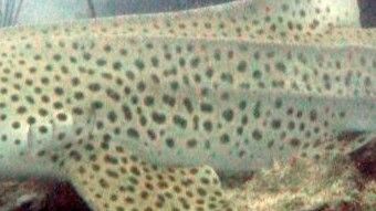 650a4769-9894-4ce0-8bad-ed3f5d2498db