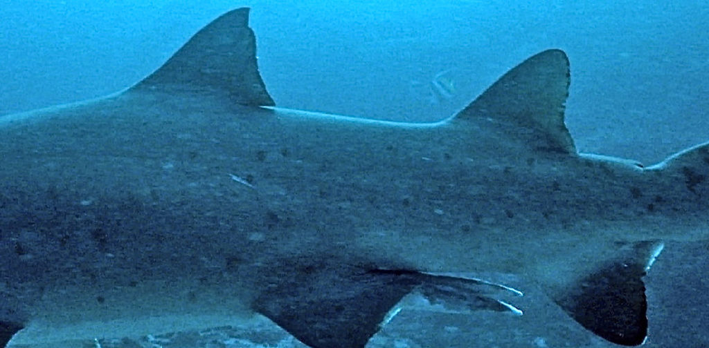 25e4be72-3e12-432e-bf2d-c9f34778a2c2