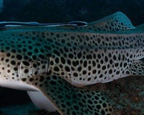 8918bfb3-b20b-4060-ab9b-0fee4c17171d