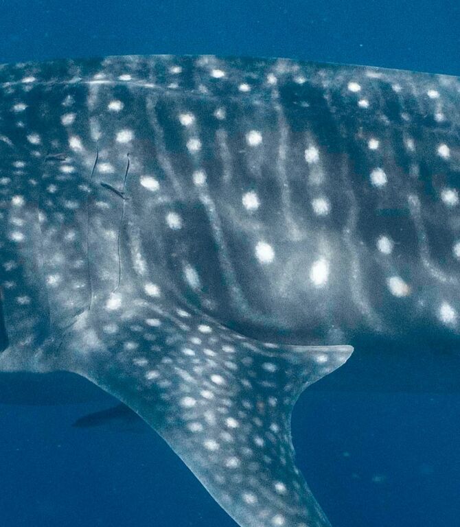 3d5eaff0-7db8-47ae-a7f7-06e01ce1b9c9