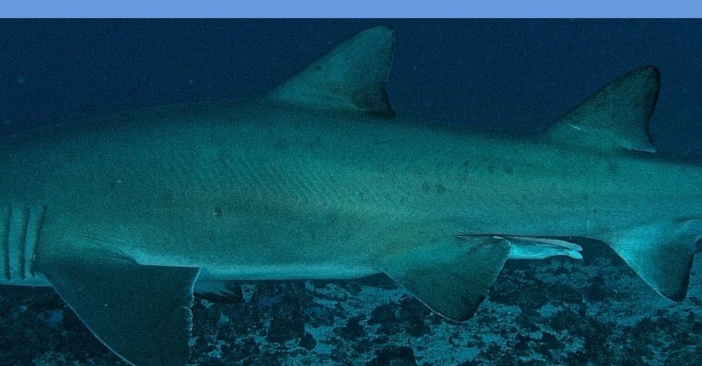 306cf008-a629-4c49-a888-c6eb97fdf97a