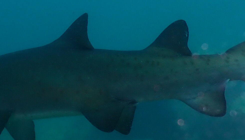 826e55a3-d9d2-4039-ae3a-4a1a5185eb2e