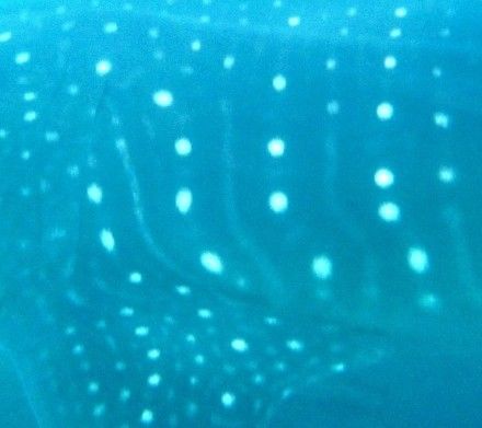 e2417d8e-72df-43c7-ad9f-33444fae4e17