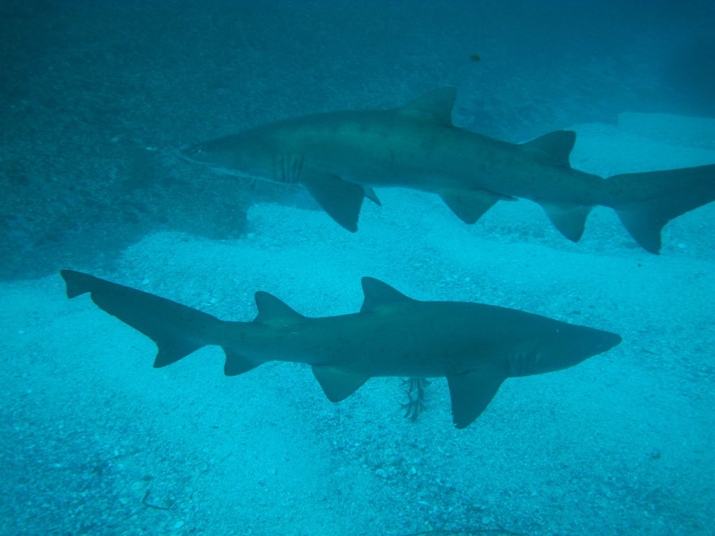 8dc07547-3ae5-4f1d-8a22-7baef5b7e07a