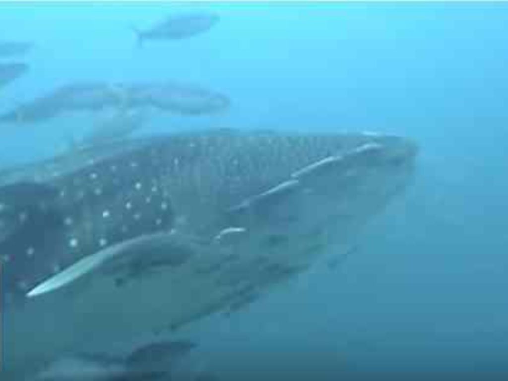 84c82ee3-954f-451e-990b-d967c92bea21