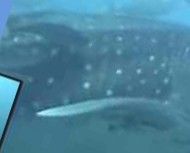 84c82ee3-954f-451e-990b-d967c92bea21