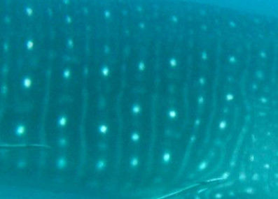 6a20c94e-e82f-4716-b67d-518964ba8319