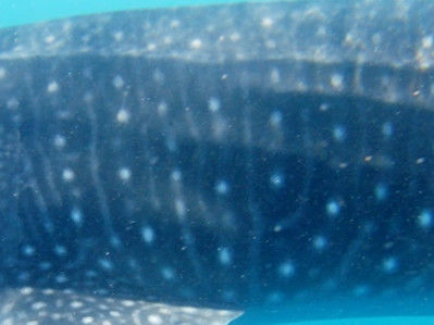 6a20c94e-e82f-4716-b67d-518964ba8319