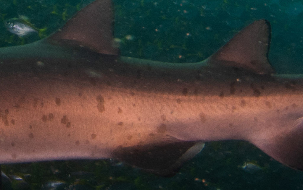 4868df4d-4e6b-41dc-b5c5-6ba64cec9395