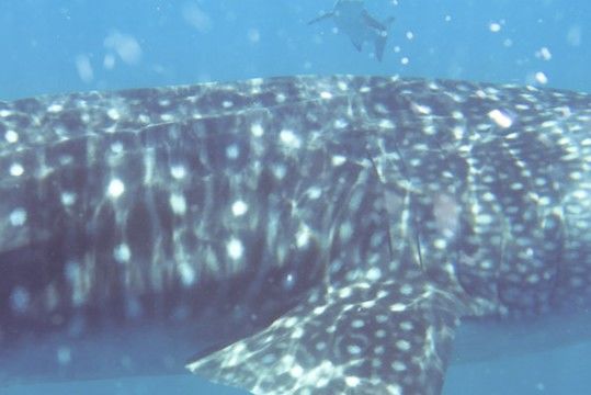 8df36d08-7fac-47dd-b0cf-9c41f2b49b8f