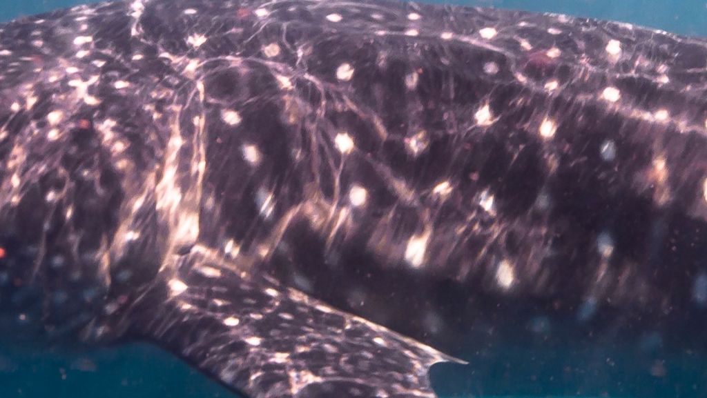 bd5adb35-a9bc-42df-9991-958bdb3520db