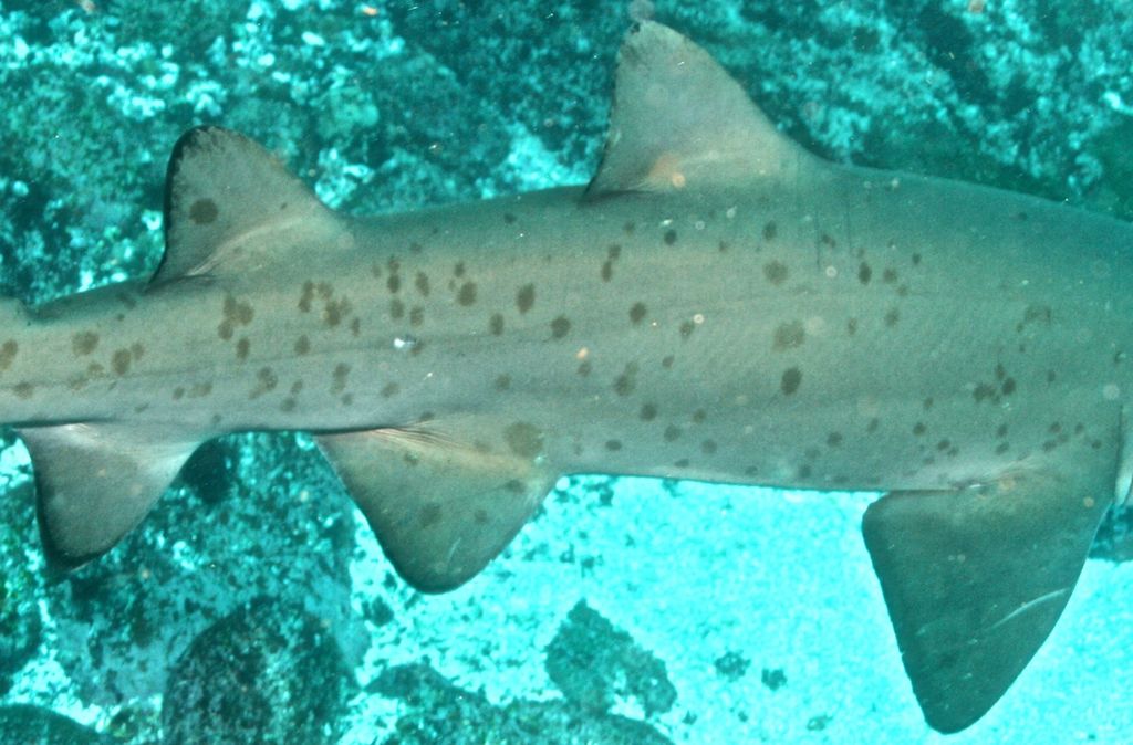 b2f2bbe8-6cbc-41e9-b77f-580961c73a43