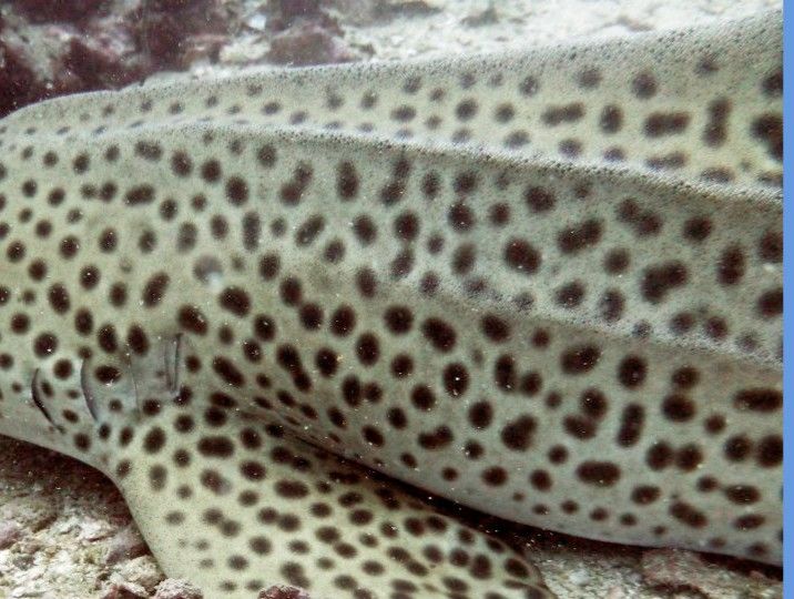 52a0381f-5a25-41f0-97e1-a029631281b7