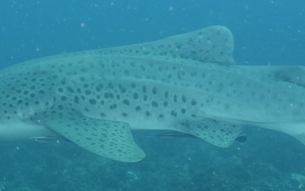 ecfd73b2-6955-486a-be16-7c52a573ae9f