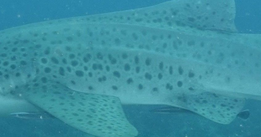 ecfd73b2-6955-486a-be16-7c52a573ae9f