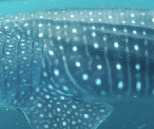 5f757632-34ea-4738-a6a9-1db7cb4c8620