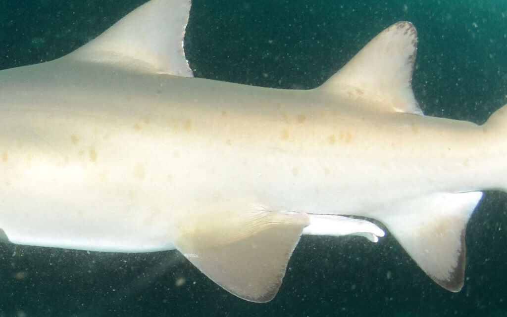 52fe86d9-db8b-45f7-a12d-b1f76f6acf55