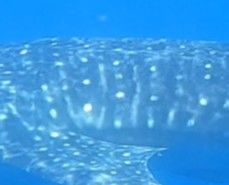 42d8d4e1-c7d2-424f-80a0-14b4d1036229