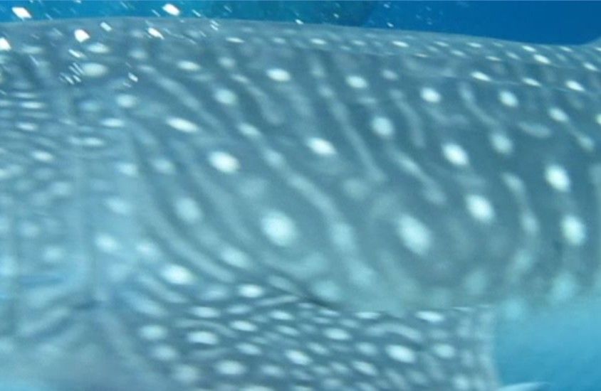 b3ad04ad-bc6c-42f5-87af-9d99afac15ac