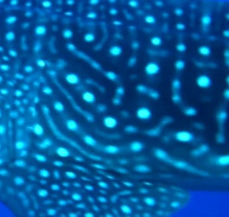 5579fb3c-f5bc-4f87-b65b-a221fbf379f7