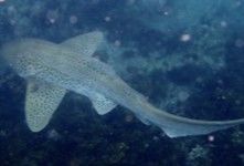 139e05c7-5c52-4353-8b19-a2b3d1ce242b