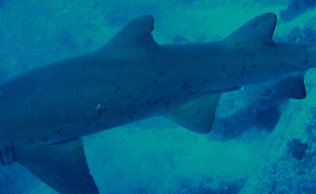 cd4cd5c9-cc66-4f2b-9b85-d888c34e8c58