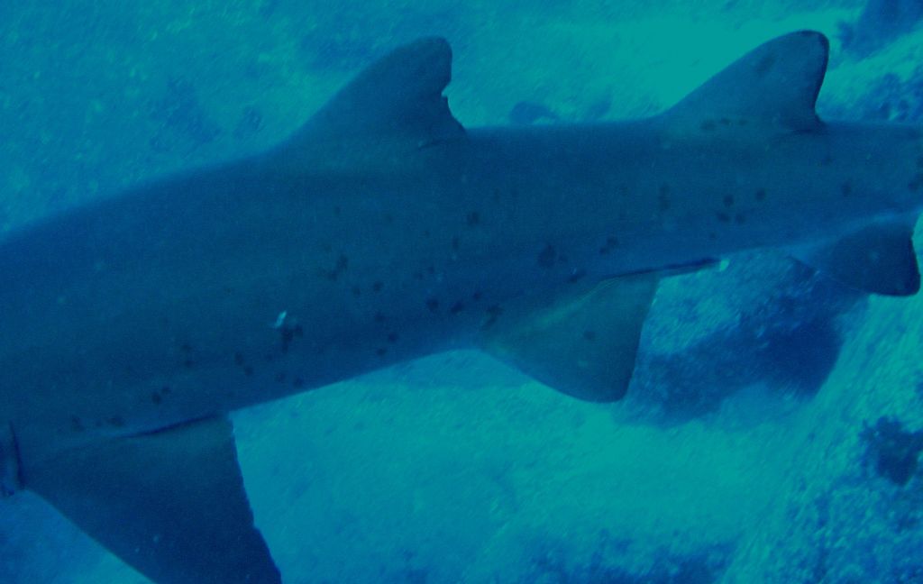 cd4cd5c9-cc66-4f2b-9b85-d888c34e8c58