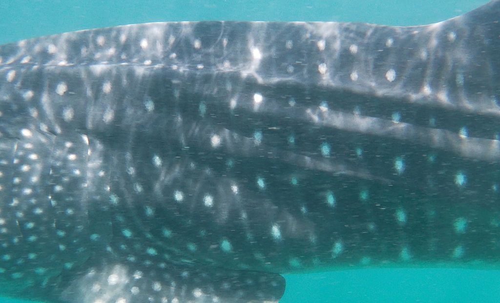 b5ae12af-6fc6-4552-aab8-e594fc823213