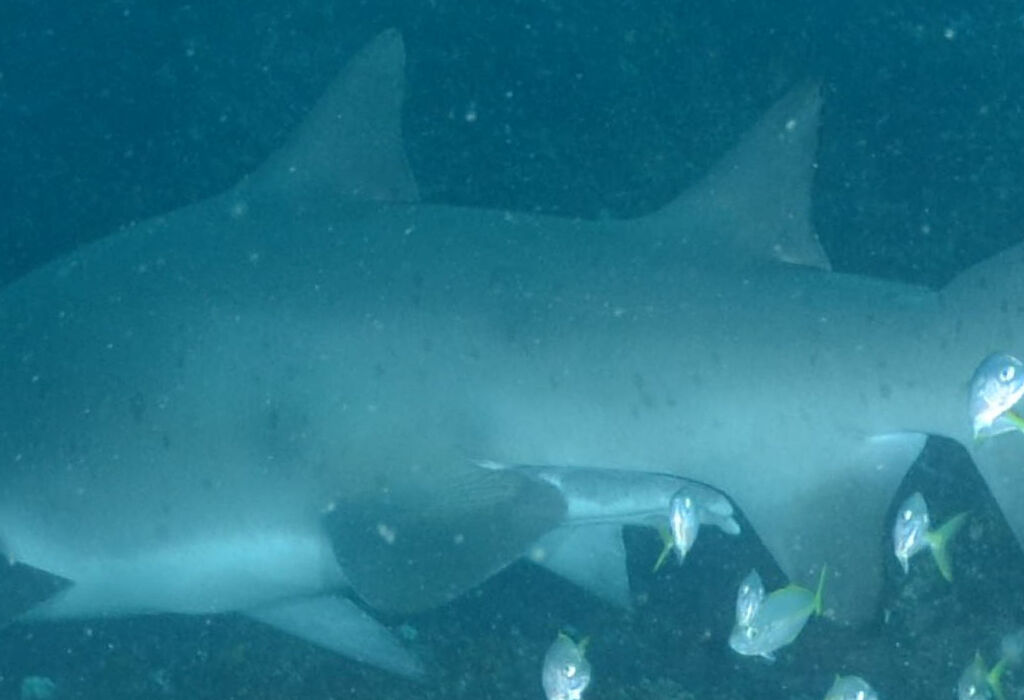 4d2f8291-bef8-4bfa-b762-cc24fb41578e