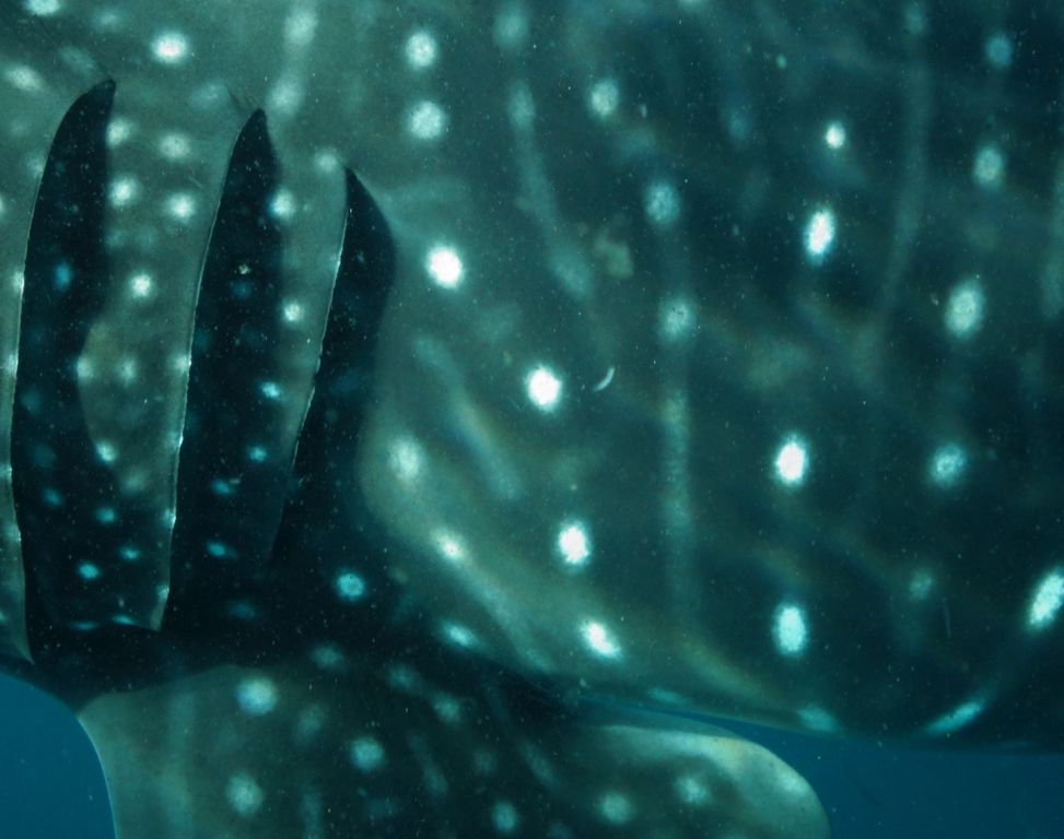 10628ee9-9d9c-404f-ae19-c23c39e88a0e