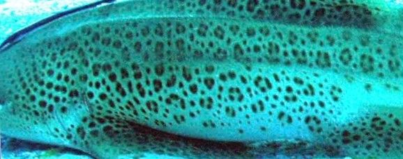 7f80484b-af30-44af-99ce-092167bec4b7