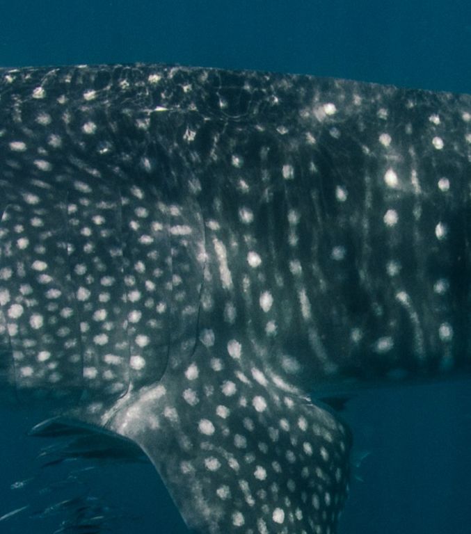 2b6acd28-87ea-4ea4-b39c-6912f70bdb12