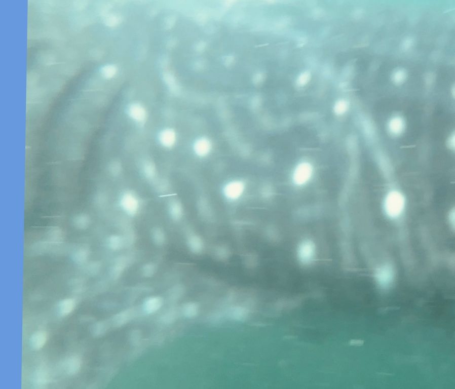 1003cc8c-abd7-4a5f-a402-8cfef41e6abf