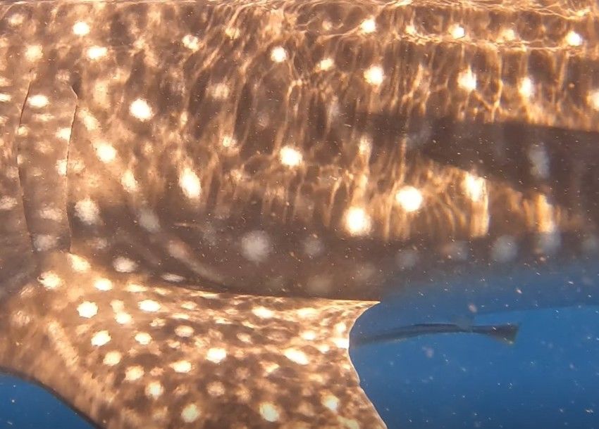 b6b8e562-9b22-47ad-9c68-ebb89b41981a