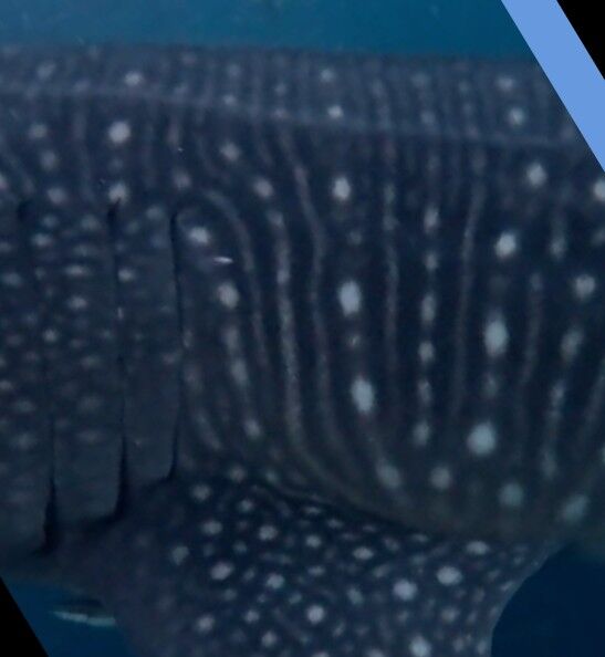 b5bfd4f6-32a5-462c-b7de-54fd987263cd