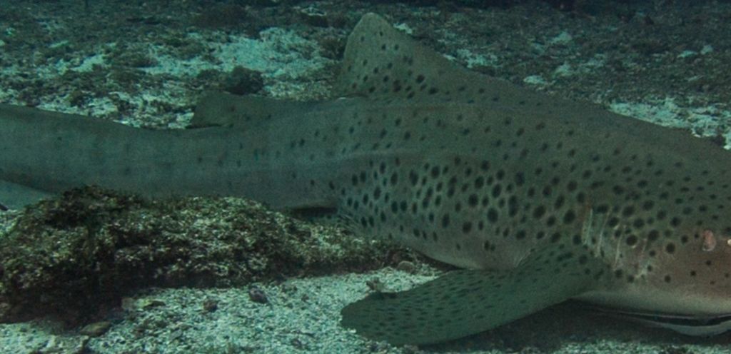 5bcea7b4-f27d-4d6d-ae6d-e9c0abc0c136