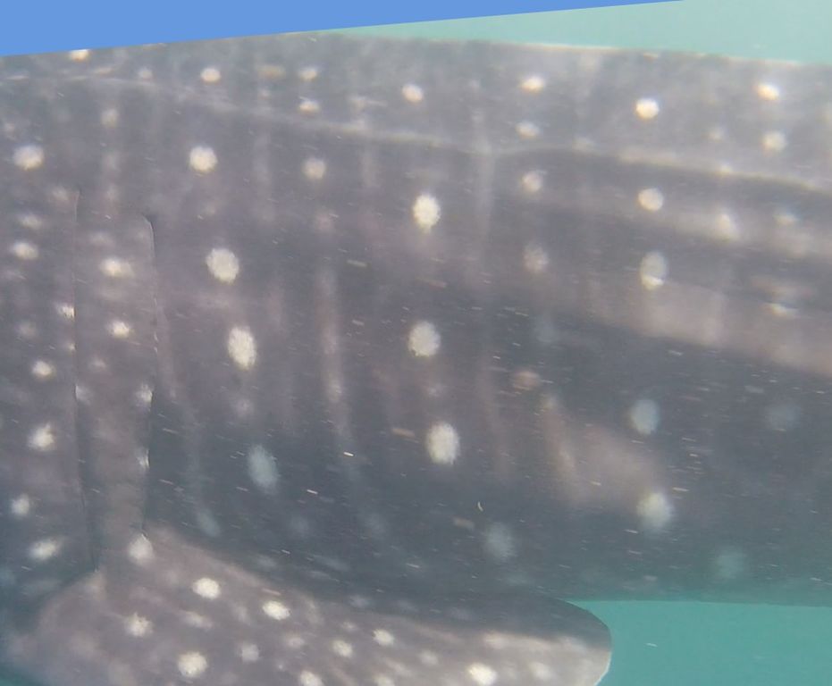 463faa3a-b9bb-4915-8bcf-d8990cbe099d