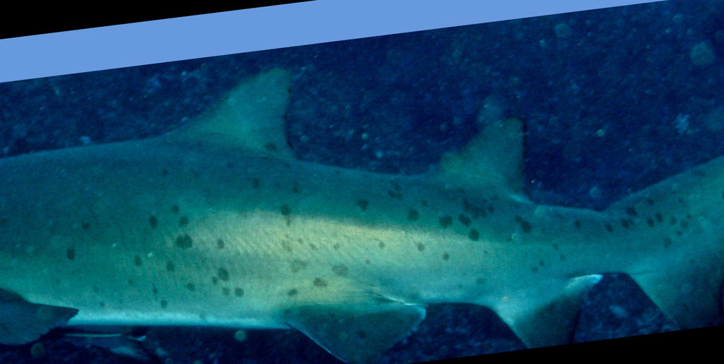 654c21d3-984b-4827-9583-c6d337b4aadd