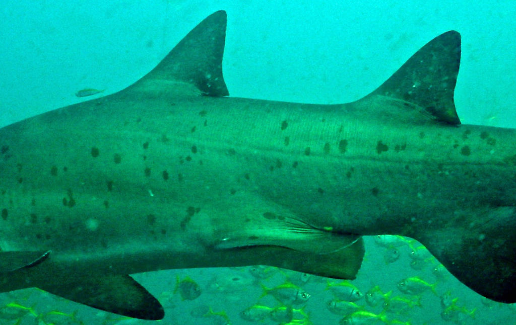 c13d314d-225f-4ebc-8ad5-3f4fde246595