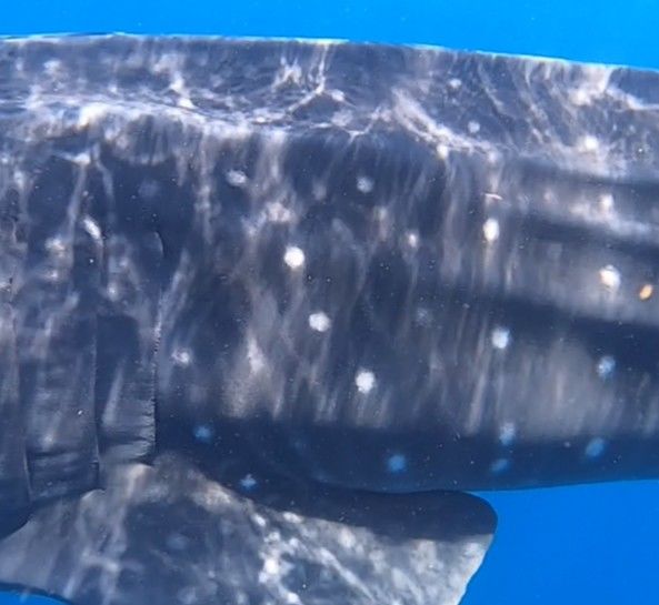 850756e2-cde0-4920-9efb-3d4292bf62b2