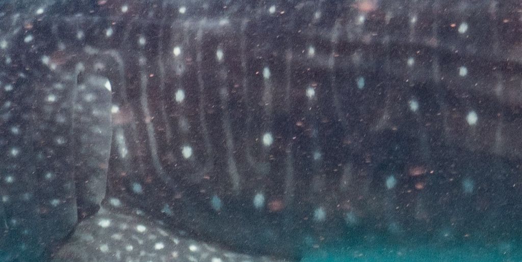 c3338fb4-a34f-4861-b2b8-26553415bd53