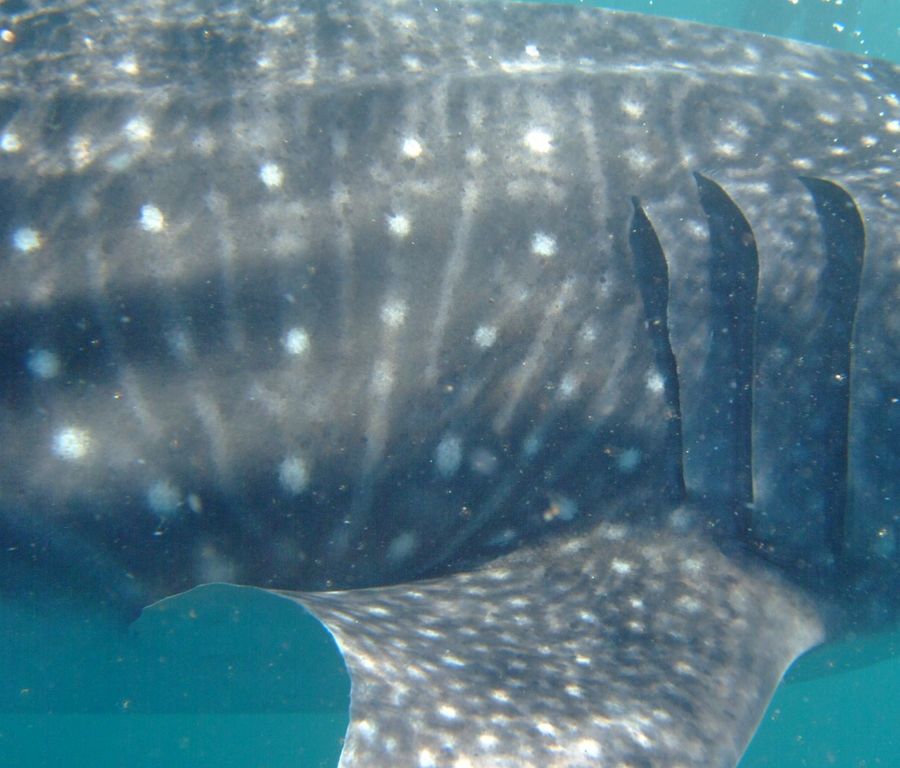 2142c97c-fbf0-4f8b-a708-0a090e0cb94c