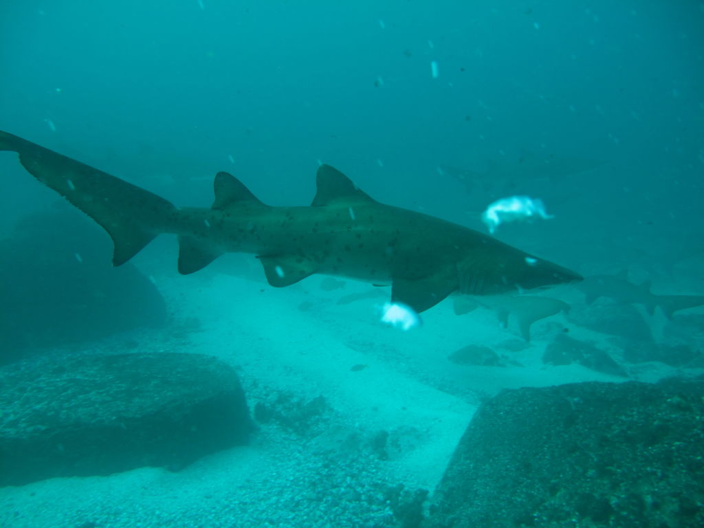 f71dbae3-6a1b-4fab-856d-8b56e08049ab