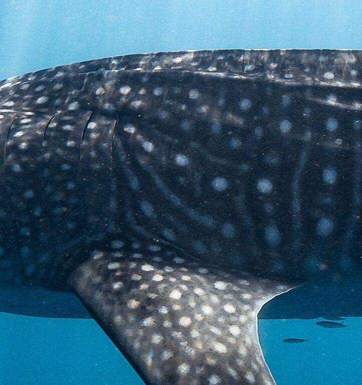 77bc49d4-3672-468b-9439-d0bb13623dd6