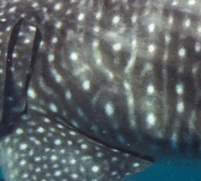 86d2064e-faf0-47b5-b8bb-37d8cd2ccc94