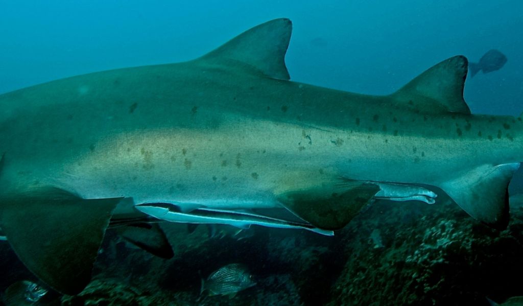 4766e9d6-7da9-4ed5-99be-9588fc64ce4c