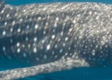 b903196c-88e7-4d4a-ba76-a5e40905355f