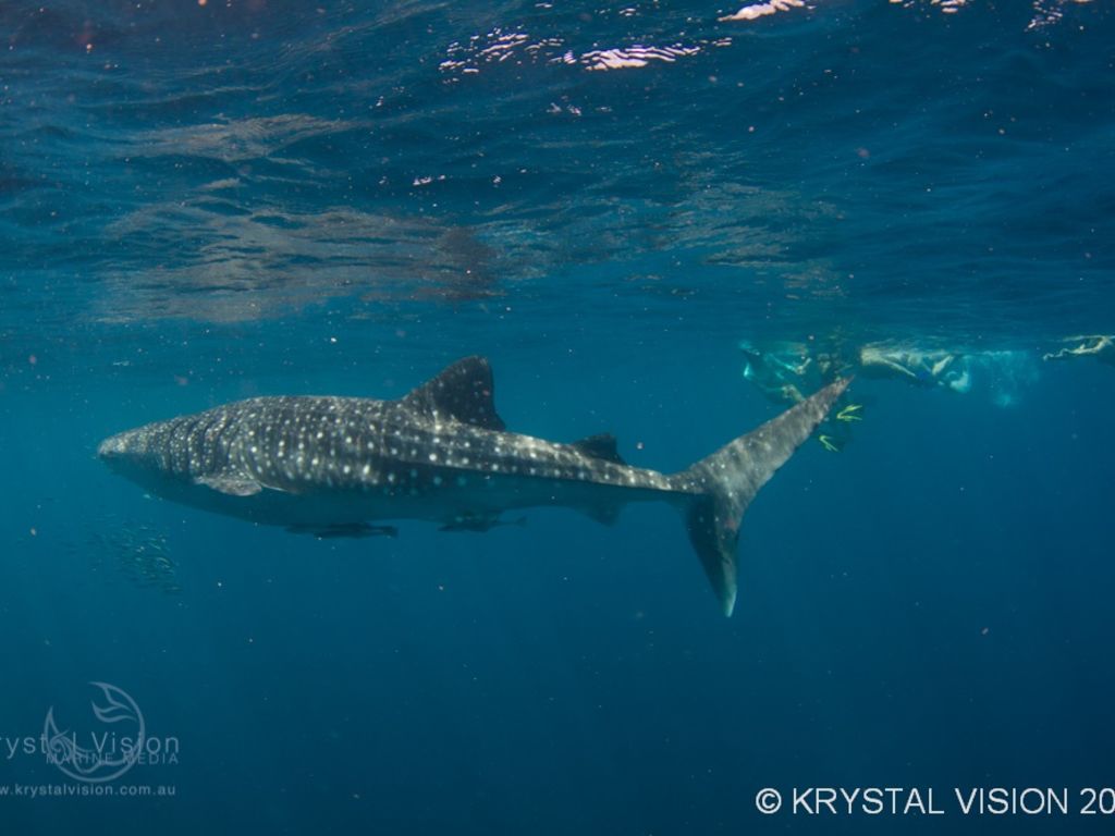 b903196c-88e7-4d4a-ba76-a5e40905355f